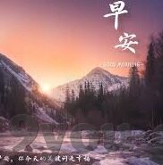 51足球比分-探秘51足球比分，球迷的实时数据宝库与战术分析利器