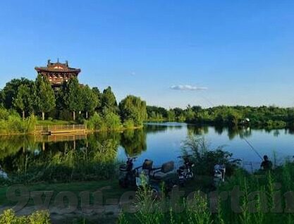 加纳报足球比分-加纳足球，赛场风云与比分背后的激情故事