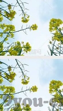 即时足球比分足球竞彩网-即时足球比分与足球竞彩网，深度解析与理性投注之道