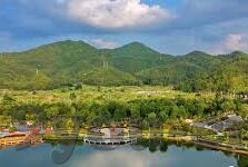 足球即时比分 新浪-新浪足球即时比分，球迷的实时战场与情感纽带