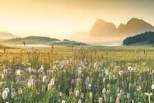 足球及时比分直播网-足球及时比分直播网，球迷的实时战场与信息港湾